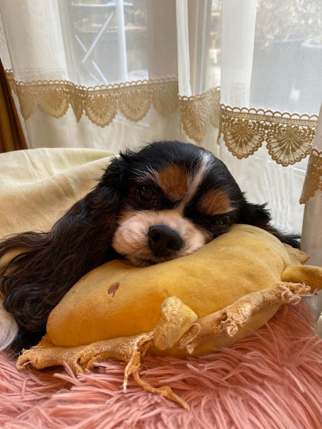 f:id:BRILLIANDROP:20210212135247j:plain