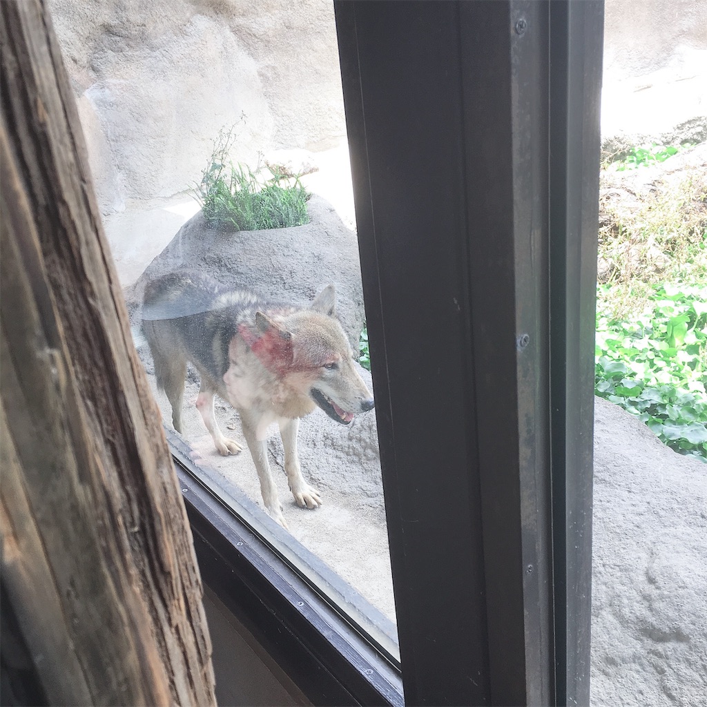 f:id:BRILLIANT-AGENCY-FUKUI:20190620202818j:image f:id:BRILLIANT-AGENCY-FUKUI:20190620202818j:image