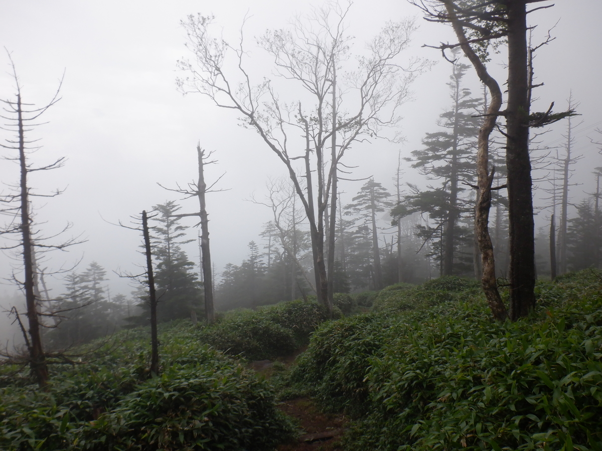 f:id:BSFlanker:20200811095917j:plain