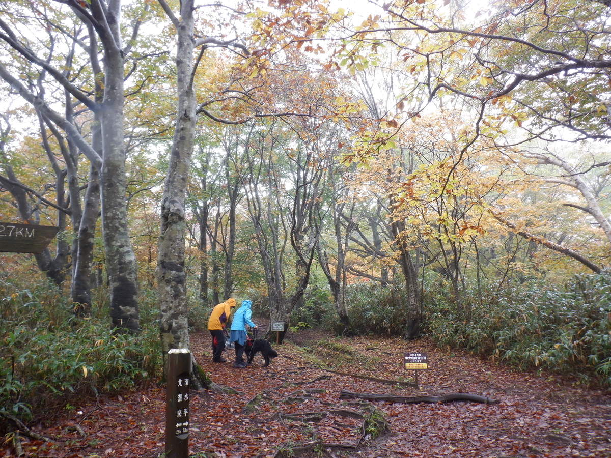 f:id:BSFlanker:20201014191533j:plain