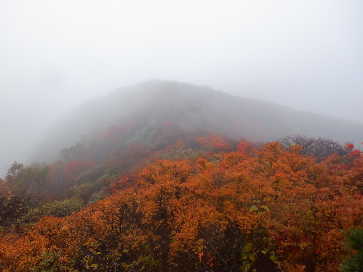 f:id:BSFlanker:20201014194109j:plain