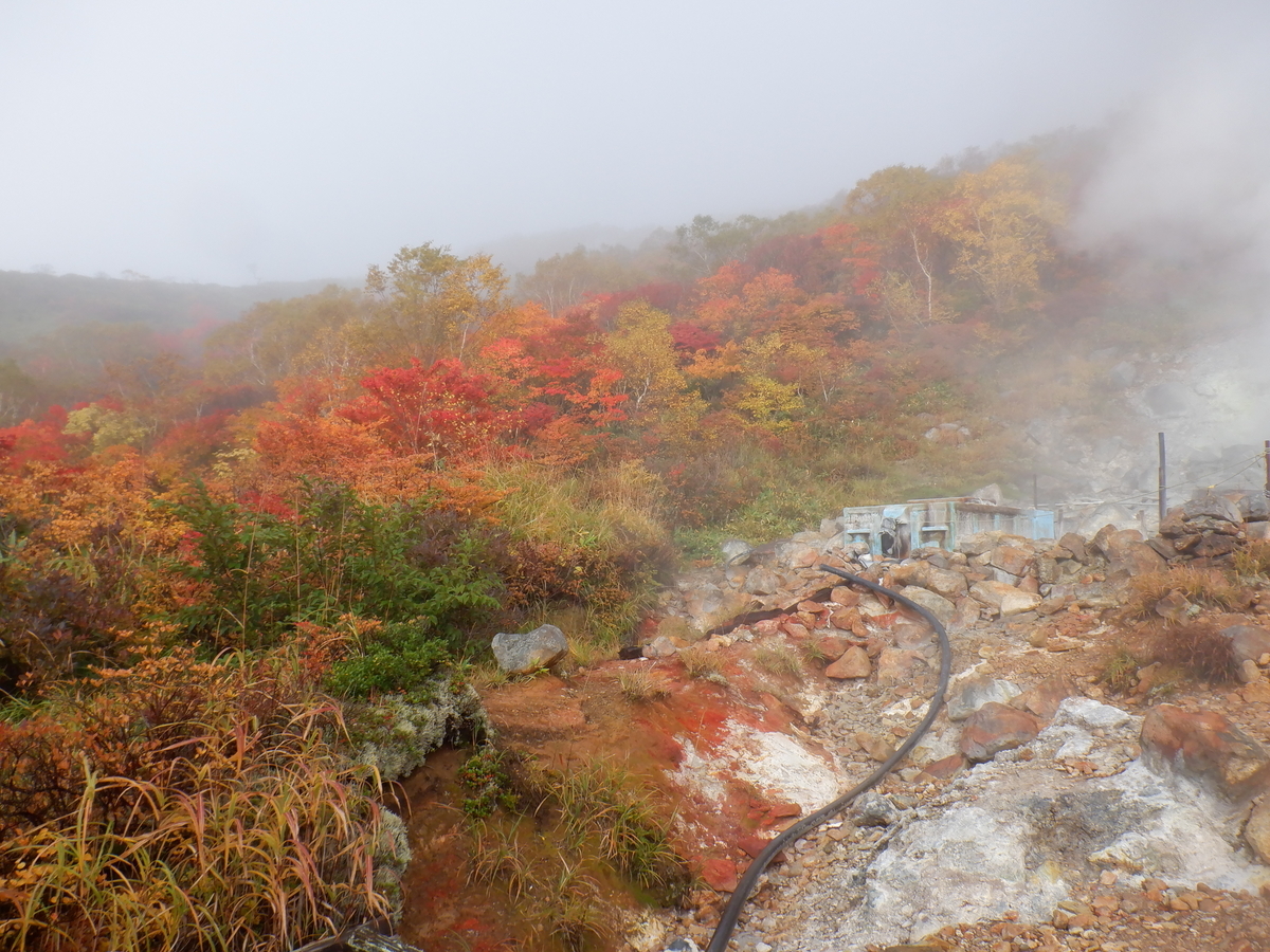 f:id:BSFlanker:20201014194606j:plain