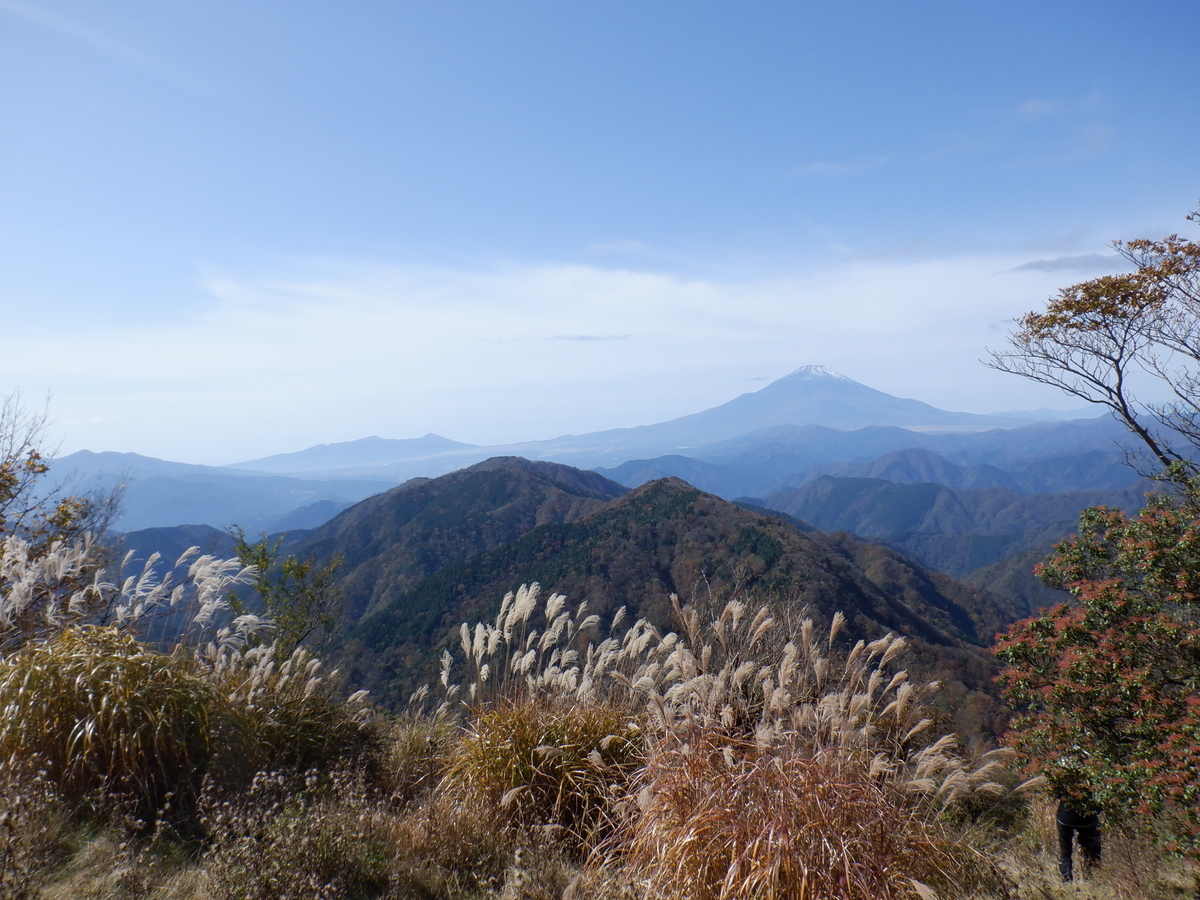 f:id:BSFlanker:20201102151705j:plain
