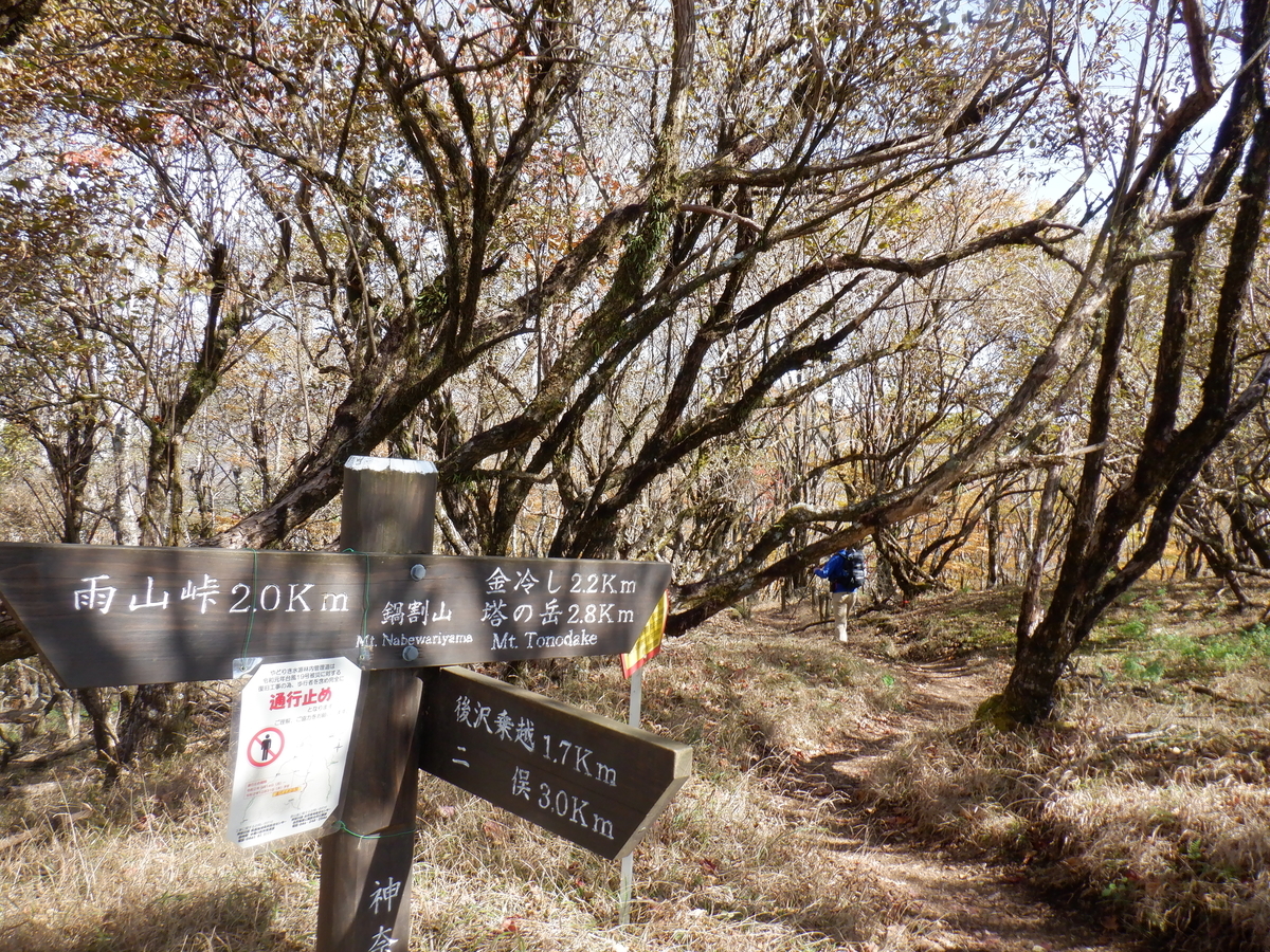 f:id:BSFlanker:20201102152136j:plain