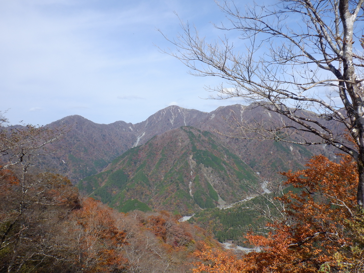 f:id:BSFlanker:20201102152832j:plain