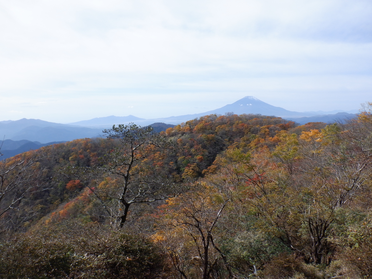 f:id:BSFlanker:20201102153313j:plain