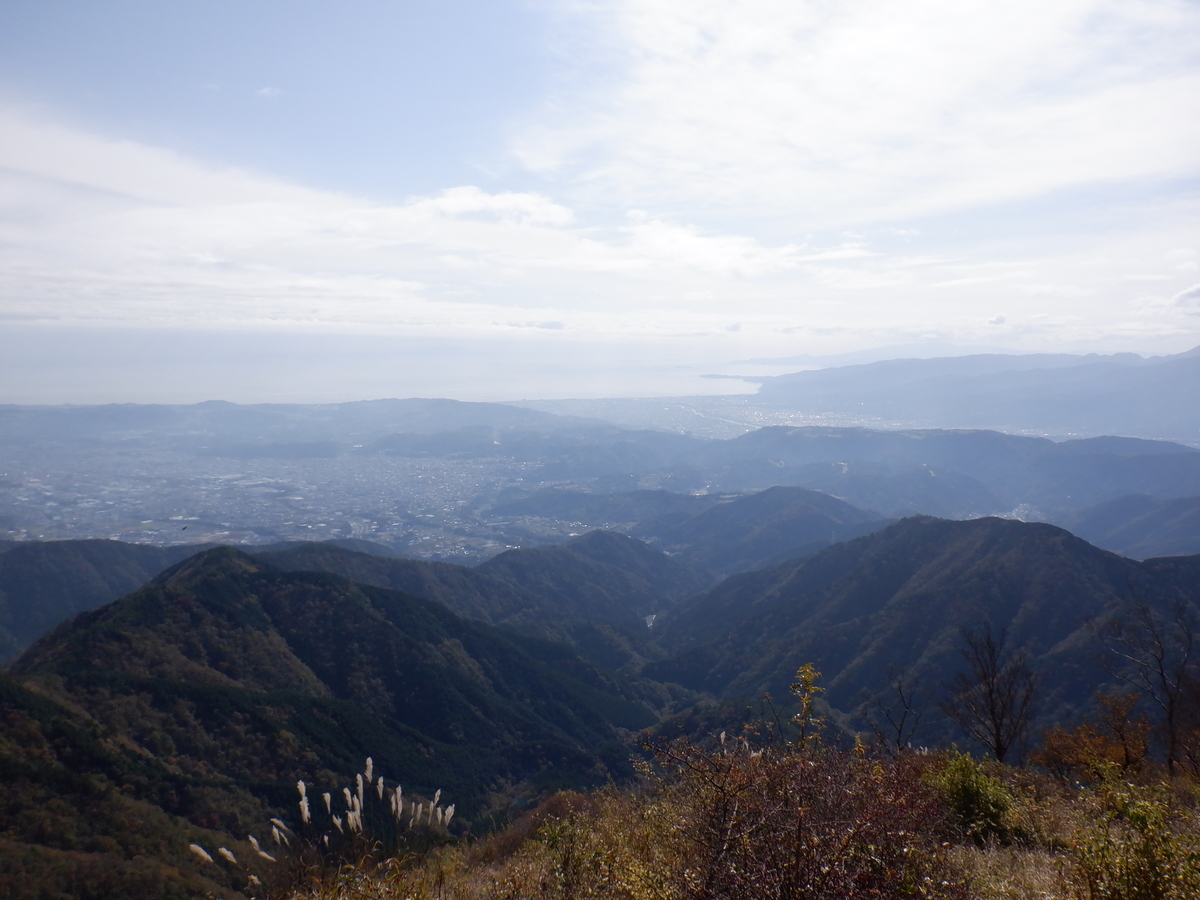 f:id:BSFlanker:20201102153705j:plain