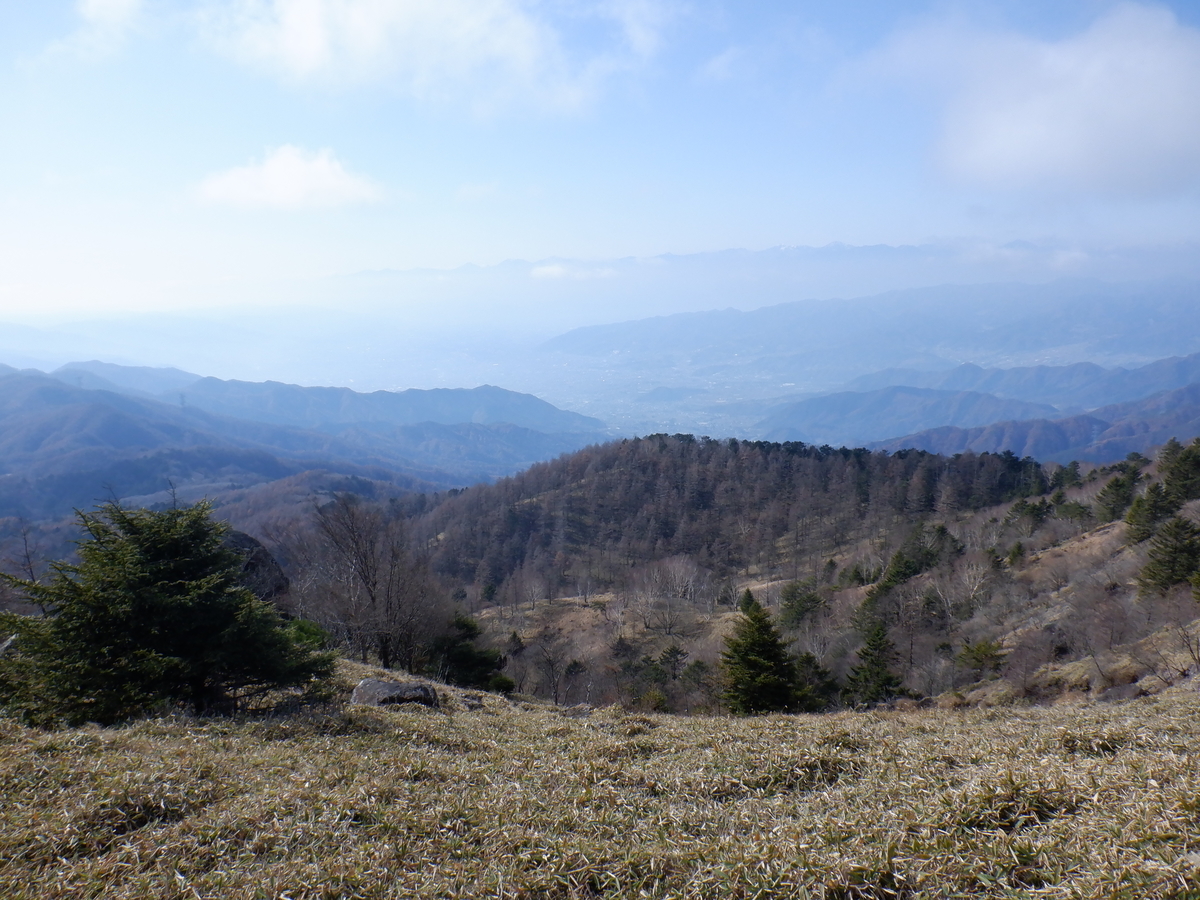 f:id:BSFlanker:20201113181623j:plain