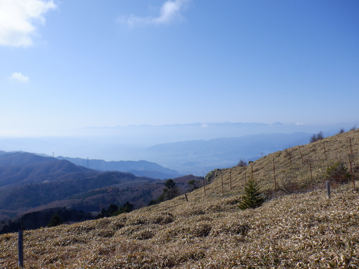 f:id:BSFlanker:20201113182634j:plain