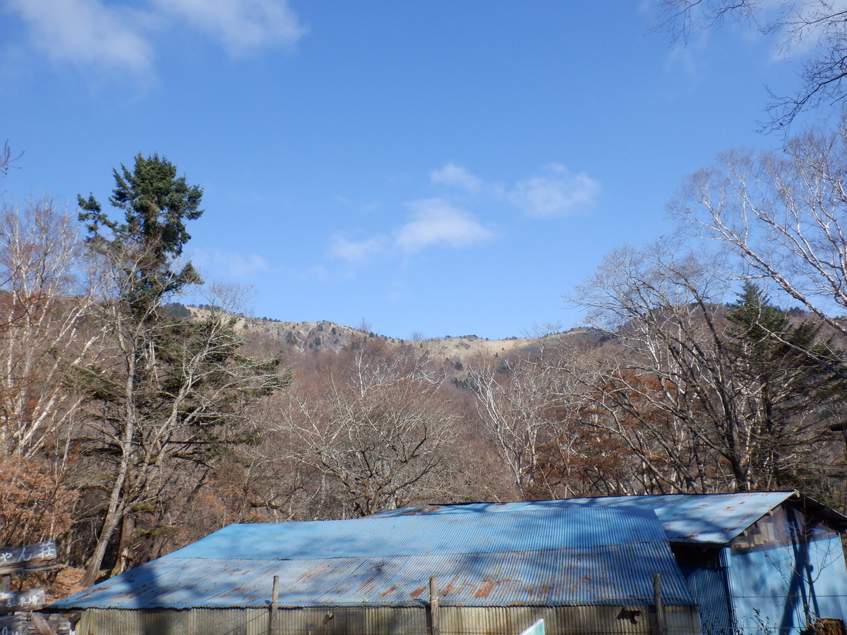 f:id:BSFlanker:20201113184532j:plain