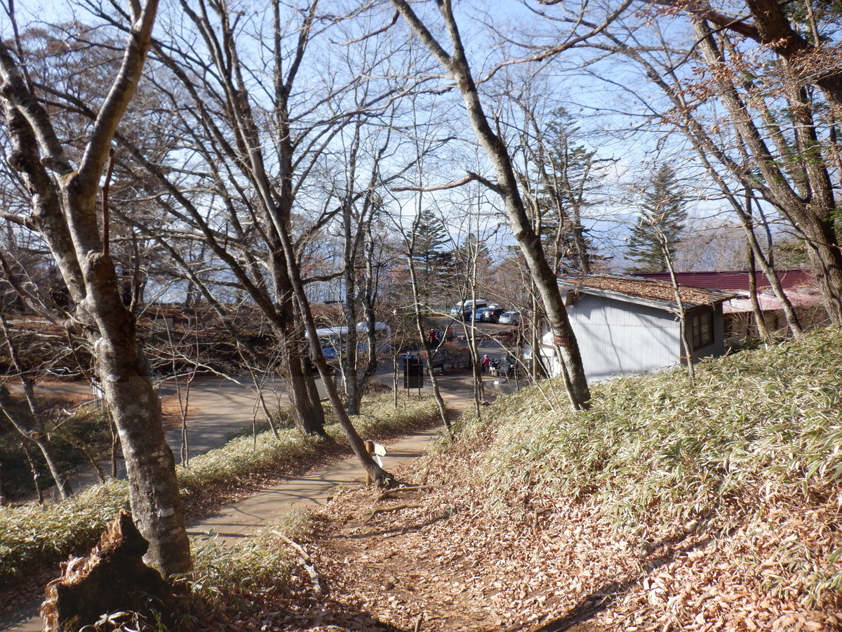 f:id:BSFlanker:20201113190834j:plain