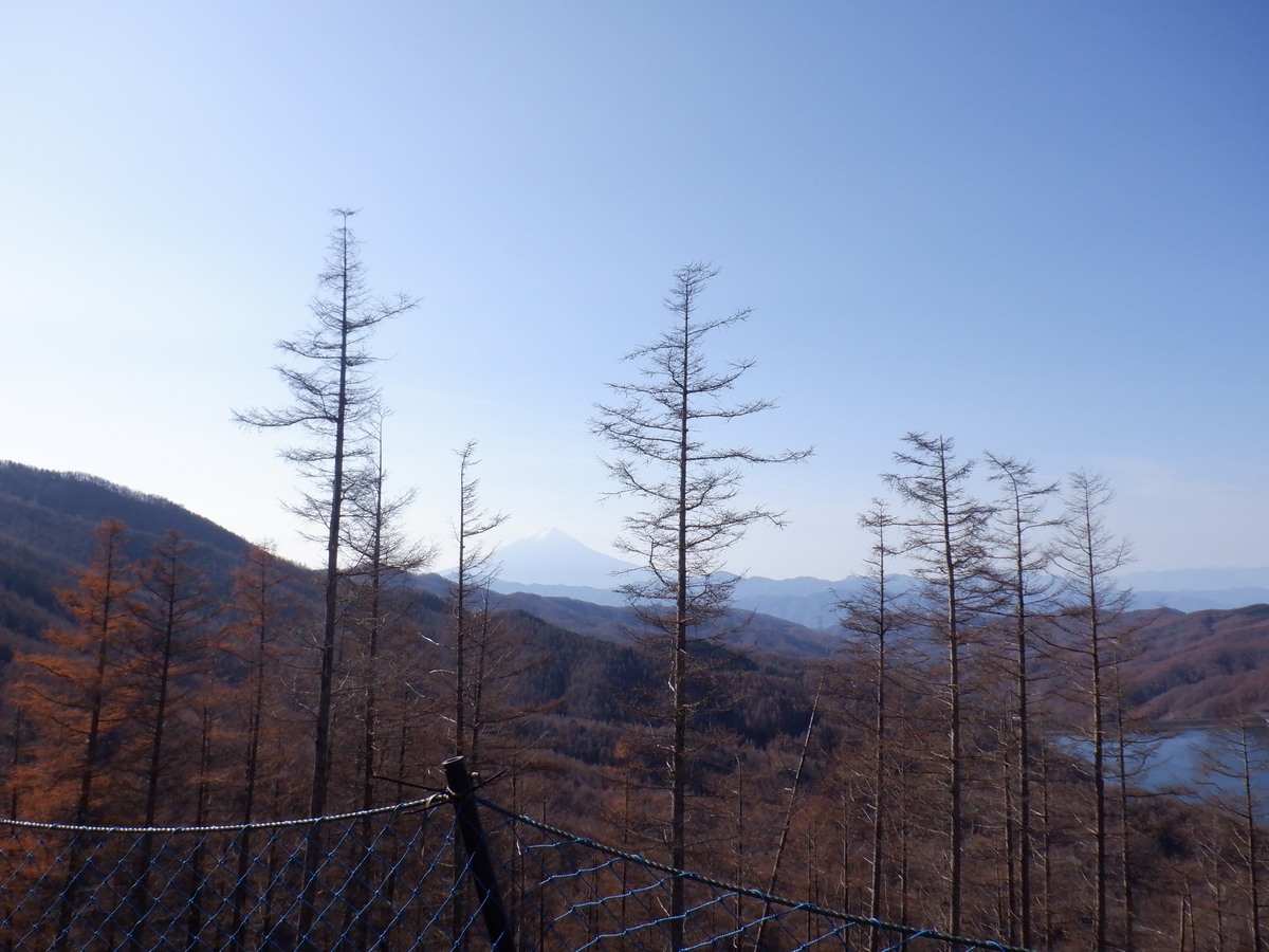 f:id:BSFlanker:20201117120822j:plain