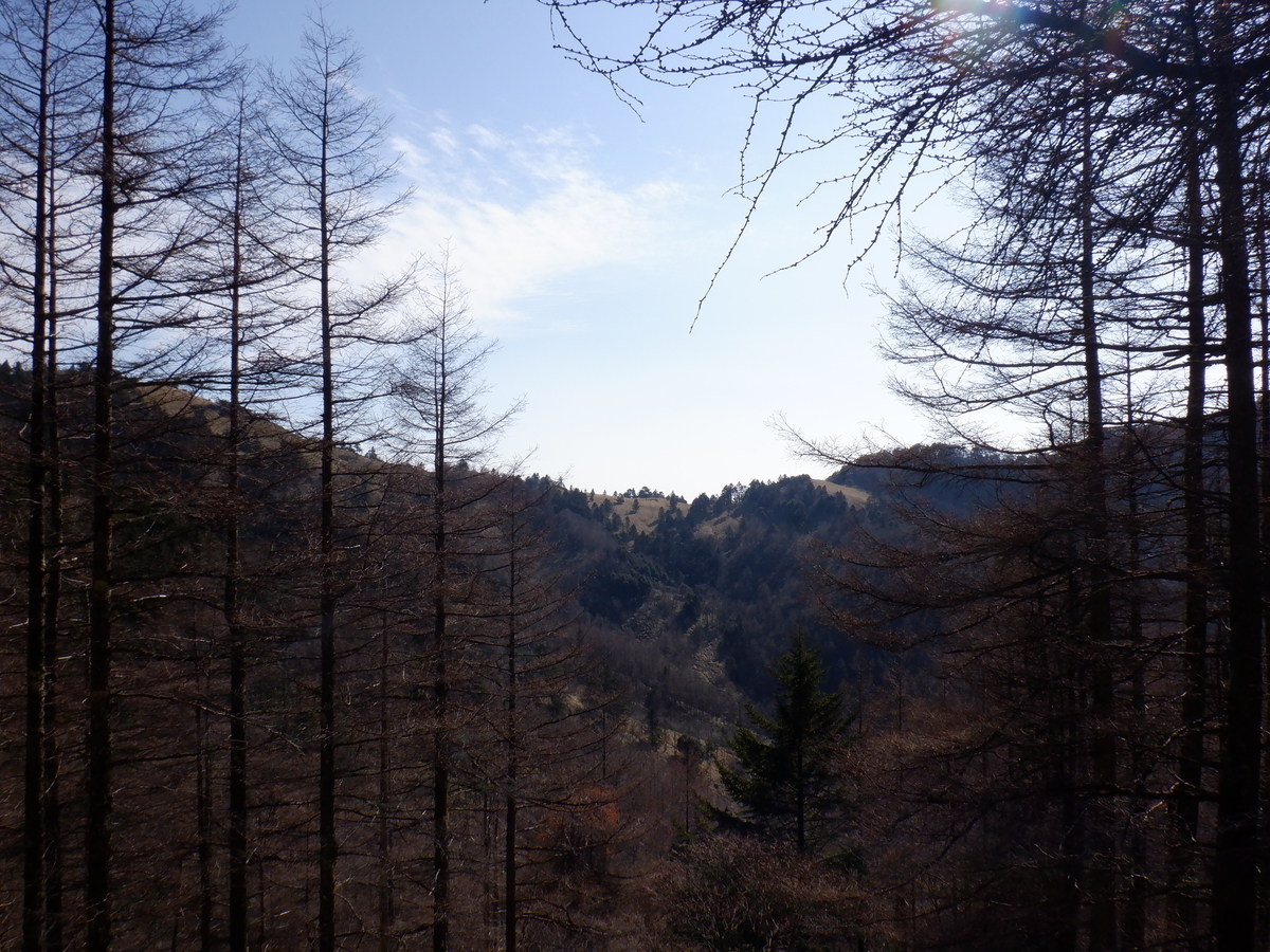 f:id:BSFlanker:20201117121248j:plain