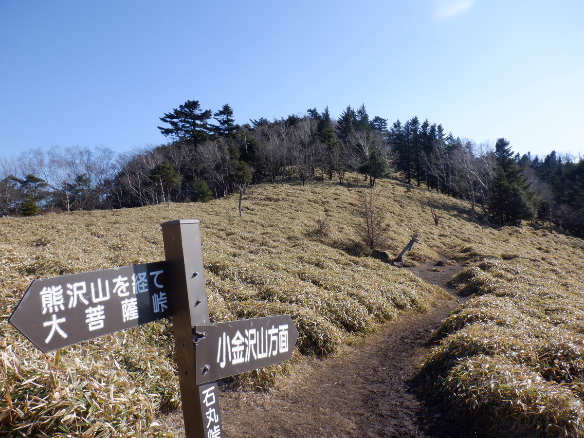f:id:BSFlanker:20201117145515j:plain