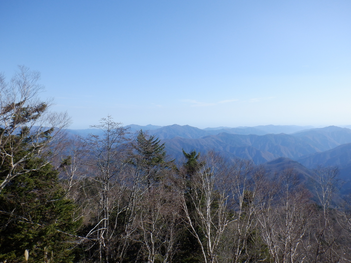f:id:BSFlanker:20201117150805j:plain