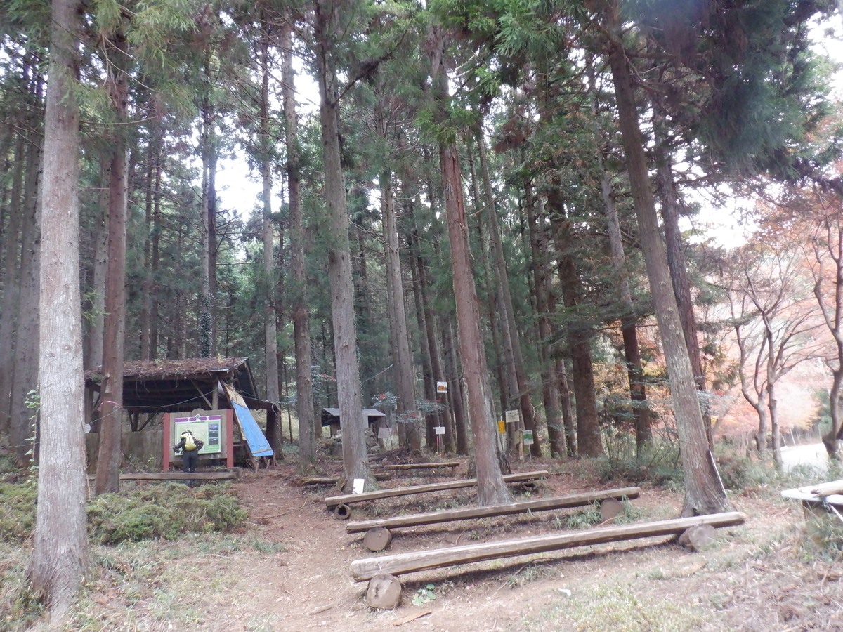 f:id:BSFlanker:20201125085645j:plain