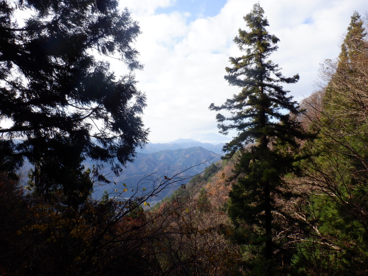 f:id:BSFlanker:20201125091132j:plain