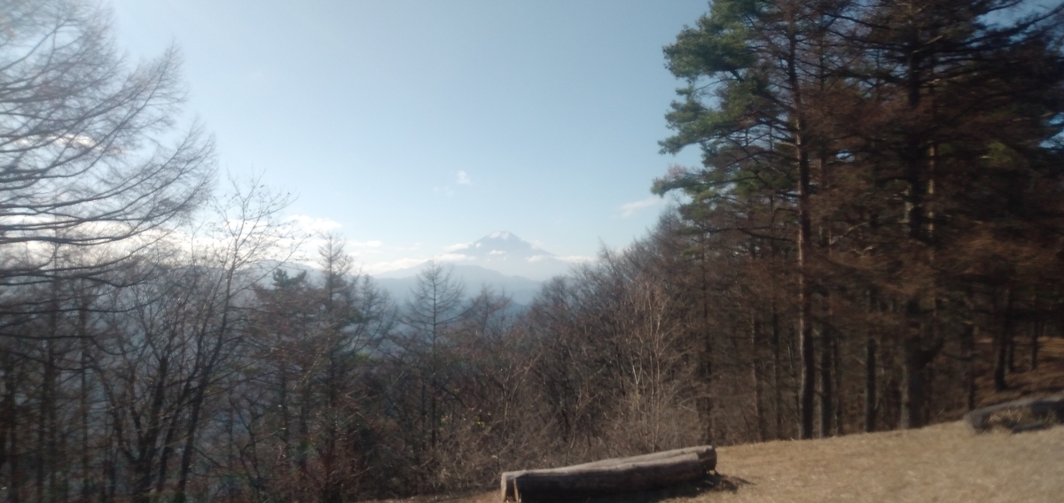 f:id:BSFlanker:20201125093038j:plain