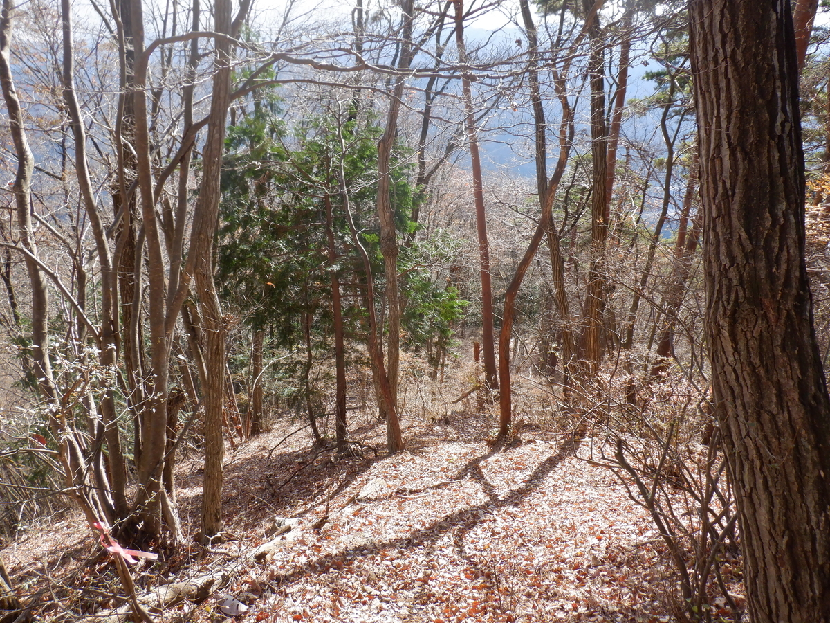 f:id:BSFlanker:20201125094438j:plain