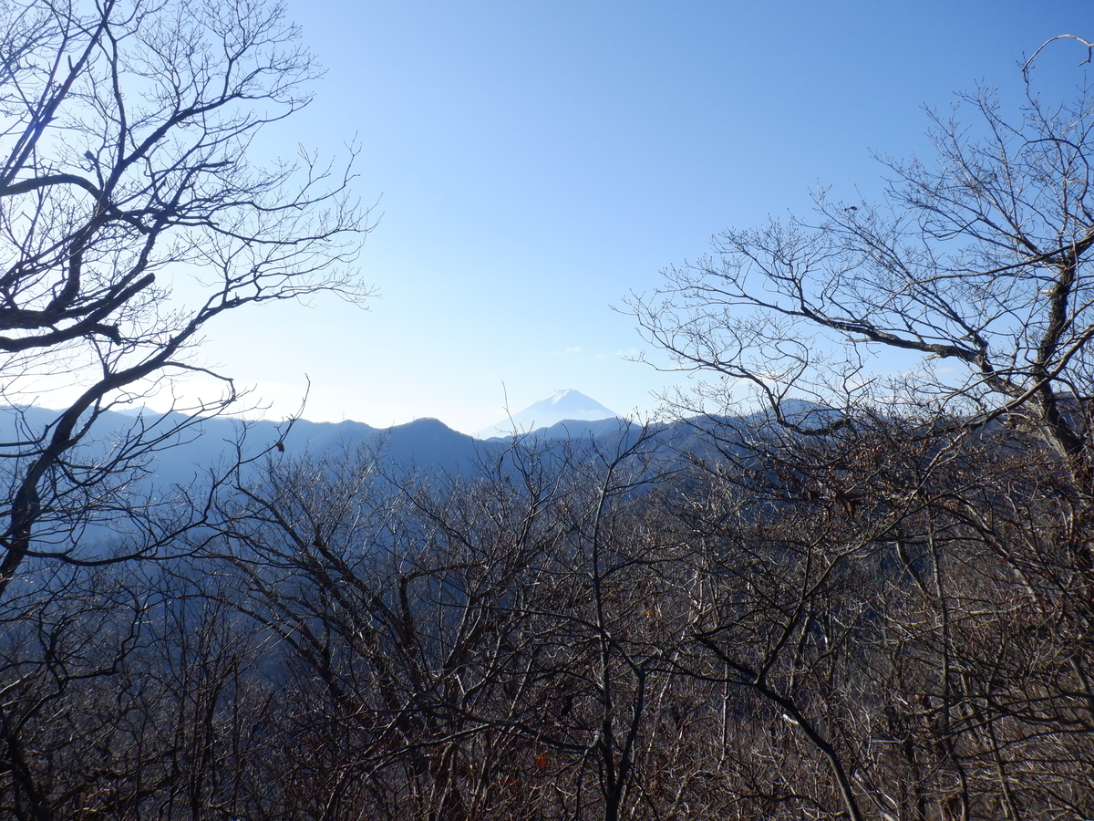 f:id:BSFlanker:20201204081259j:plain