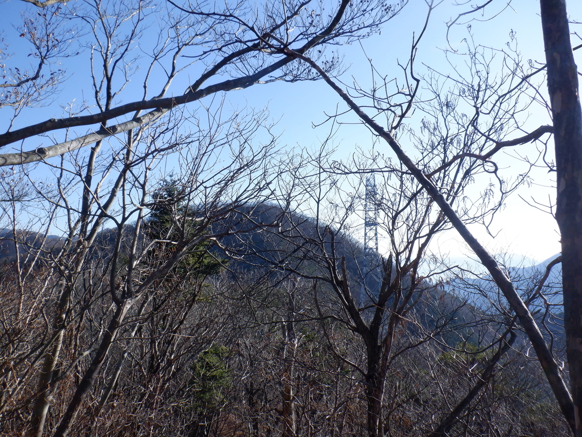 f:id:BSFlanker:20201204082040j:plain