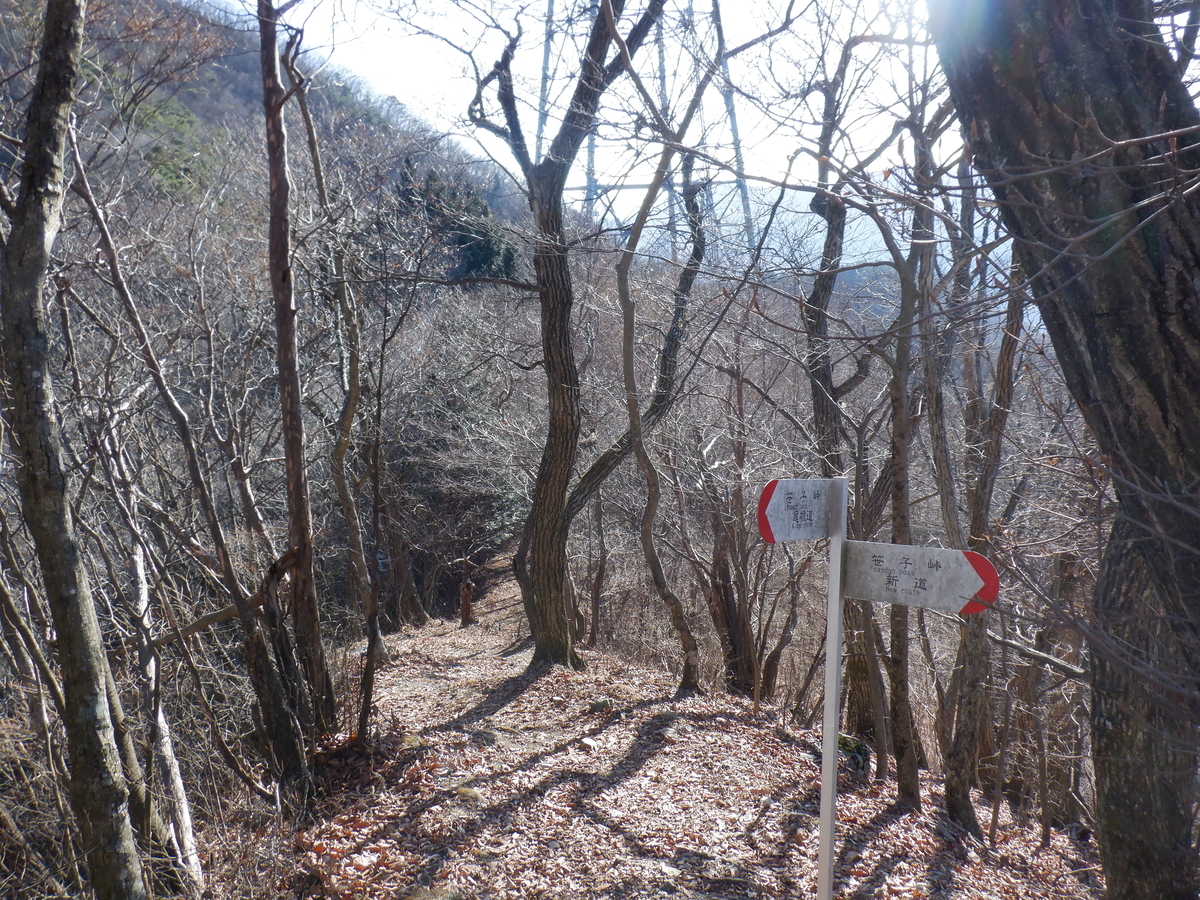 f:id:BSFlanker:20201204082258j:plain