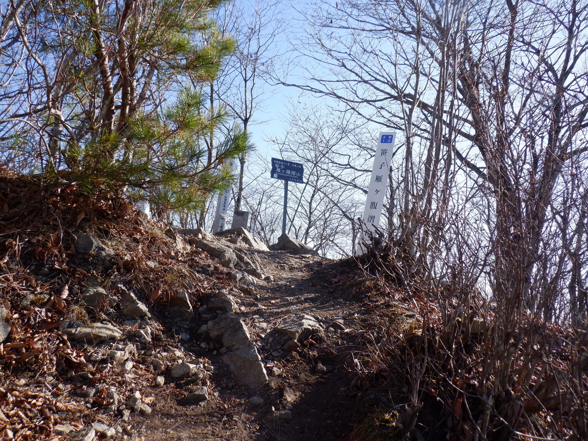 f:id:BSFlanker:20201204082554j:plain