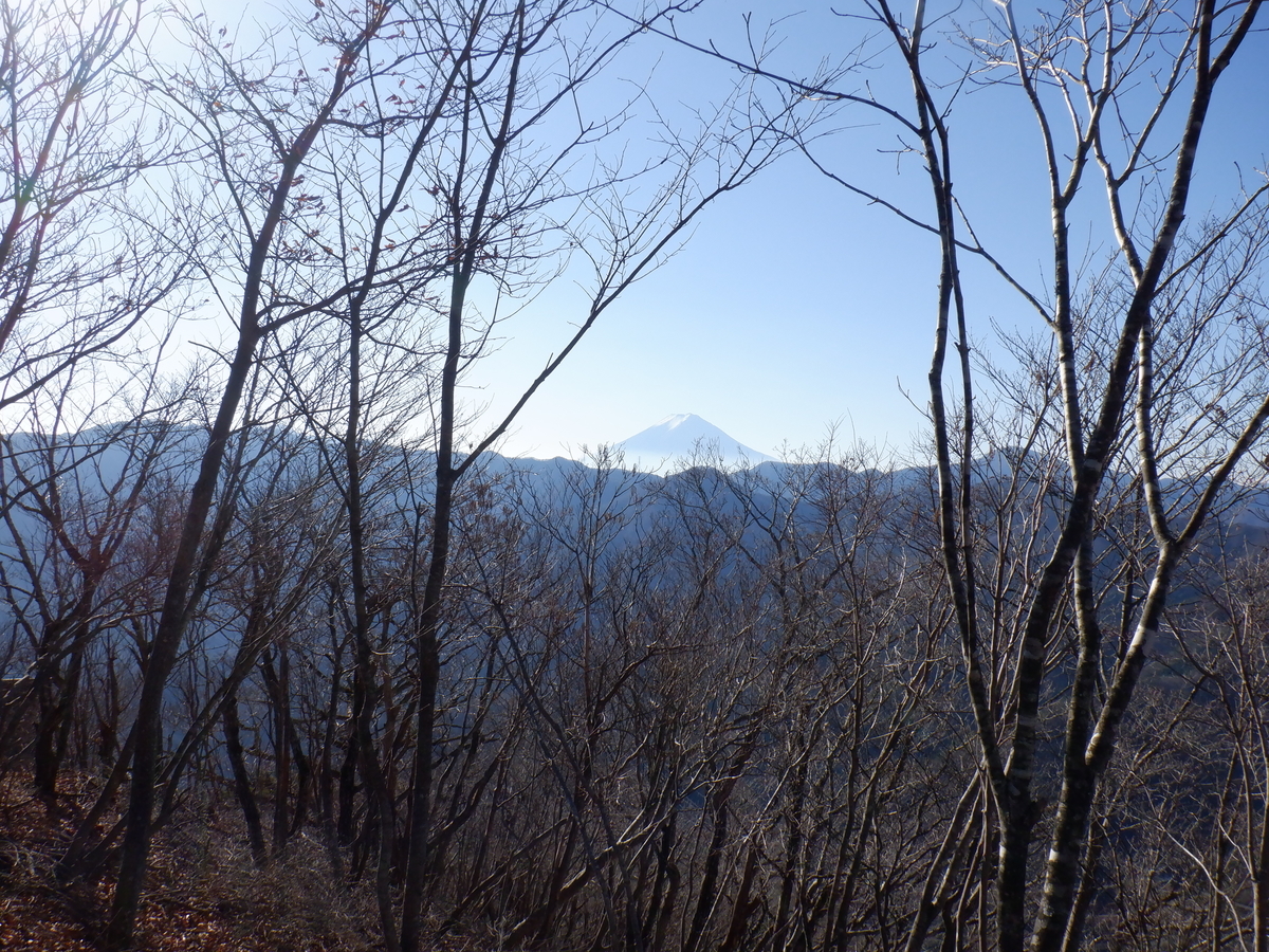 f:id:BSFlanker:20201204083601j:plain