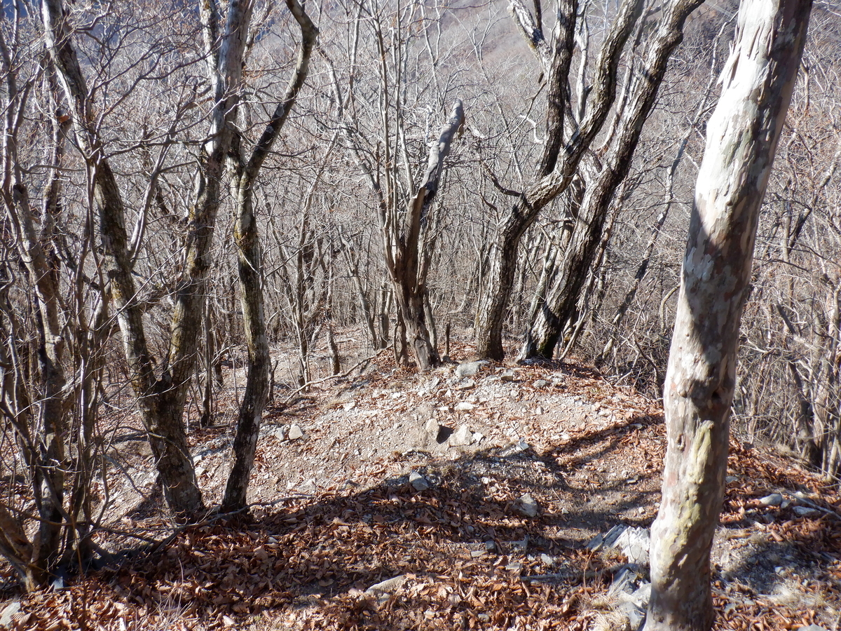 f:id:BSFlanker:20201204084503j:plain