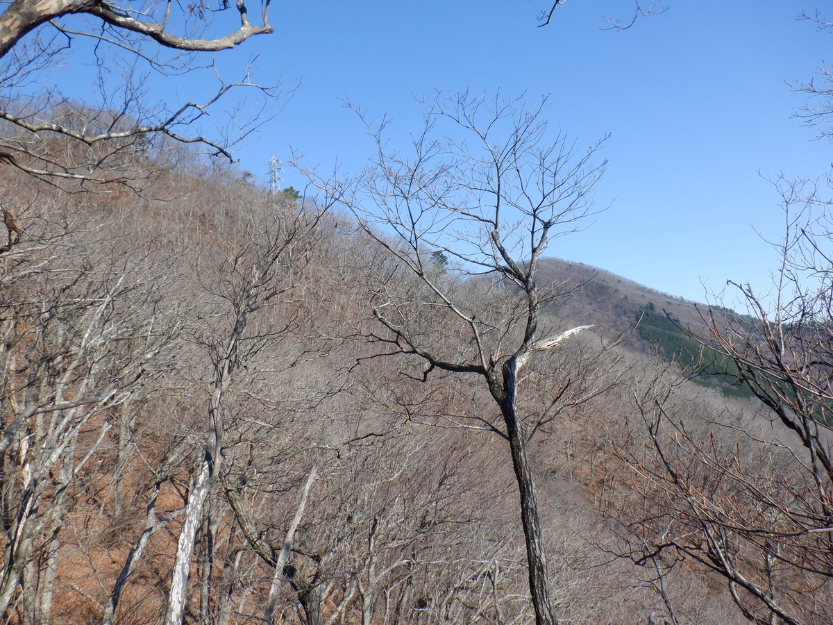 f:id:BSFlanker:20201204090906j:plain