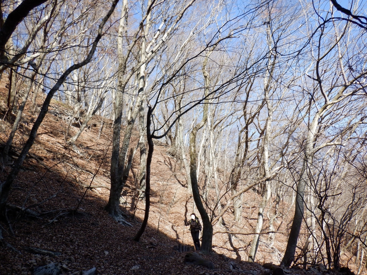 f:id:BSFlanker:20201204091840j:plain