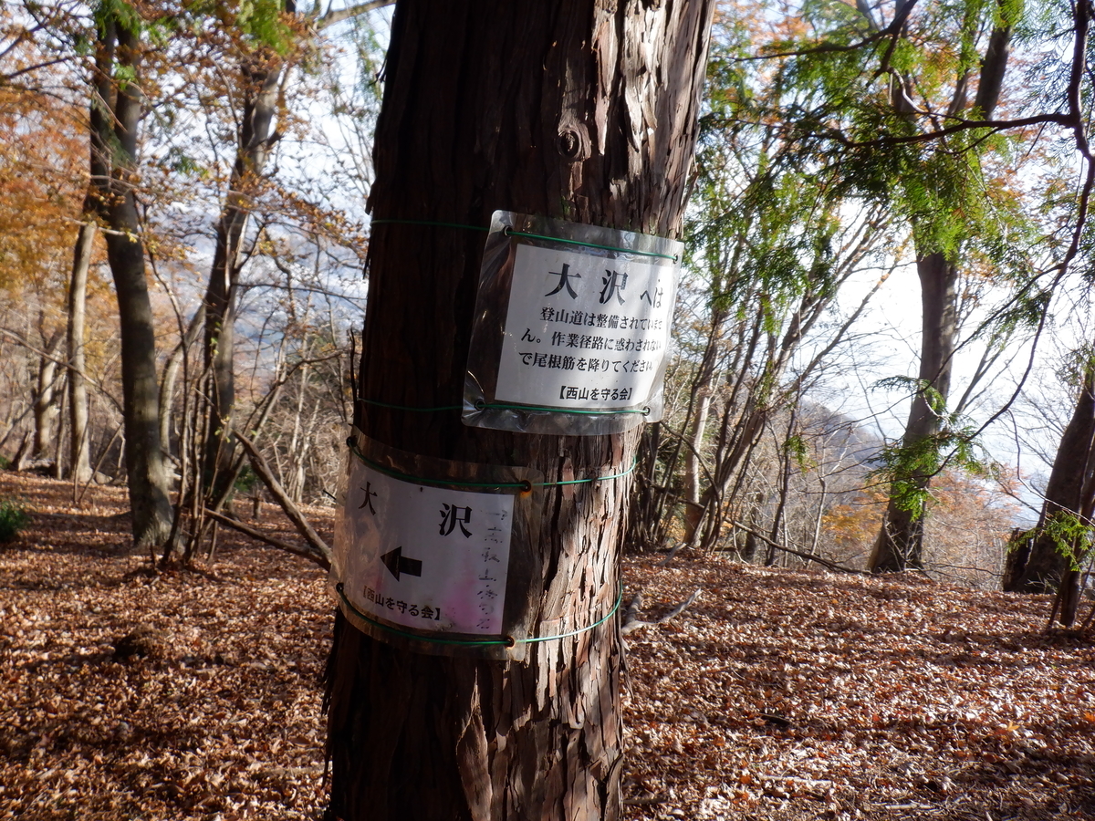f:id:BSFlanker:20201207191533j:plain