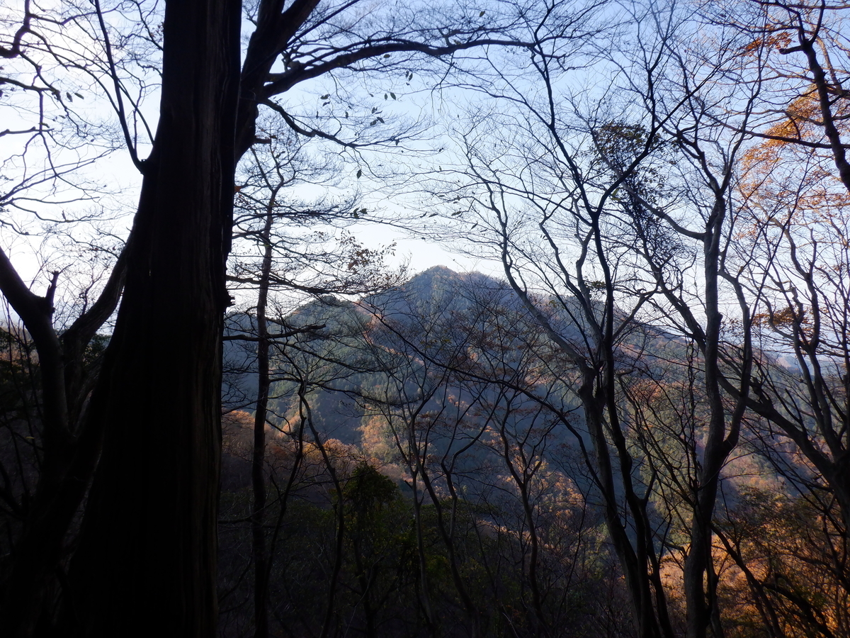 f:id:BSFlanker:20201207212219j:plain