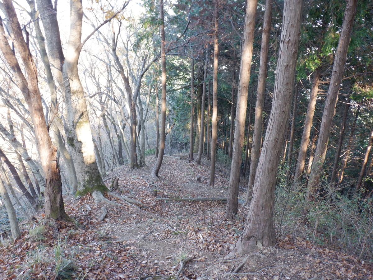 f:id:BSFlanker:20201207212325j:plain