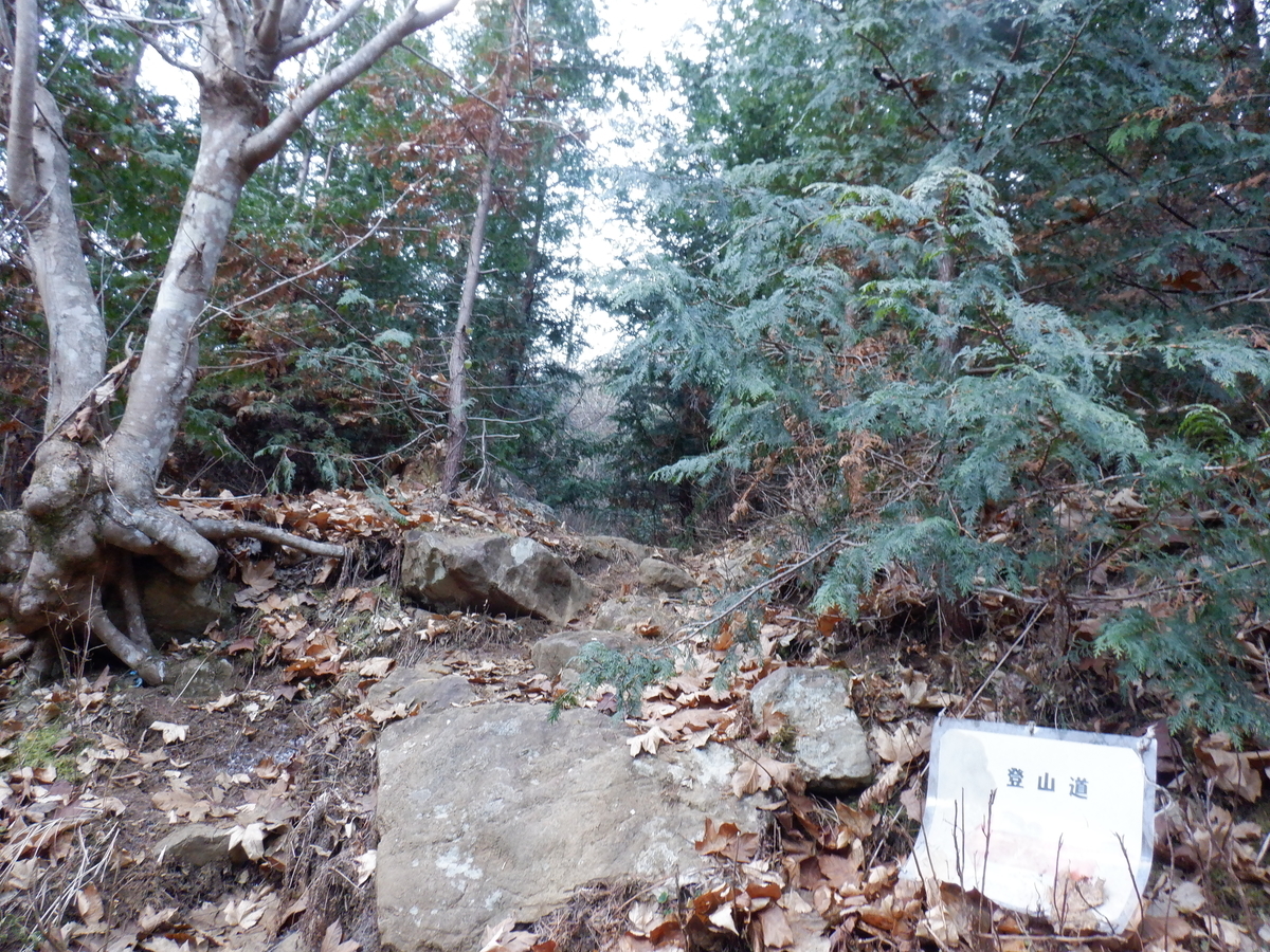 f:id:BSFlanker:20201216130255j:plain