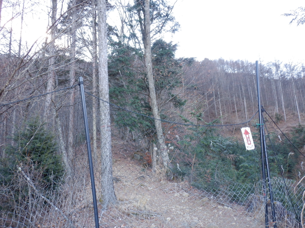 f:id:BSFlanker:20201216131056j:plain