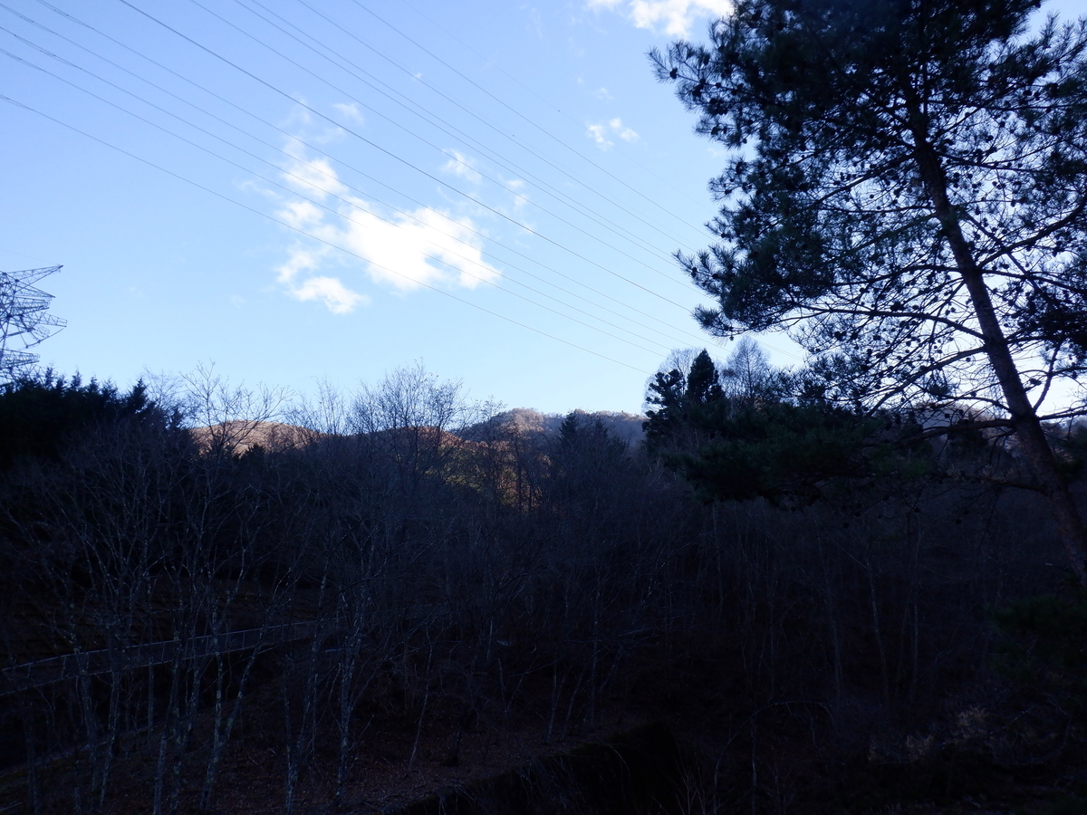 f:id:BSFlanker:20201218114802j:plain