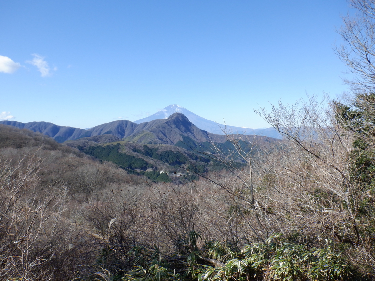 f:id:BSFlanker:20201222100401j:plain