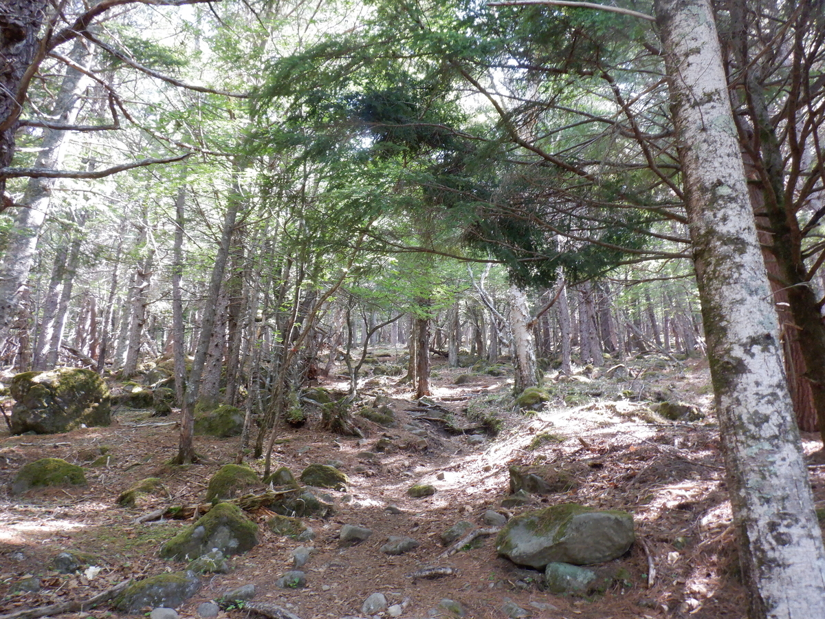 f:id:BSFlanker:20210610130716j:plain