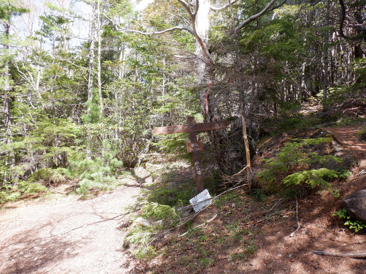 f:id:BSFlanker:20210610131958j:plain