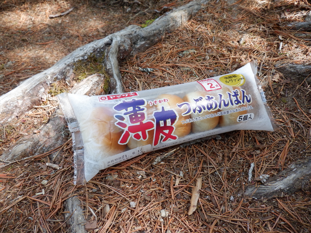 f:id:BSFlanker:20210610132156j:plain