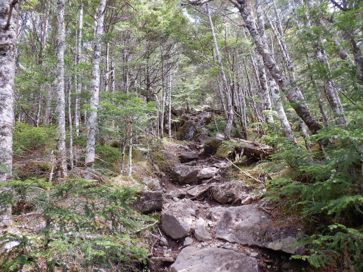 f:id:BSFlanker:20210610132422j:plain