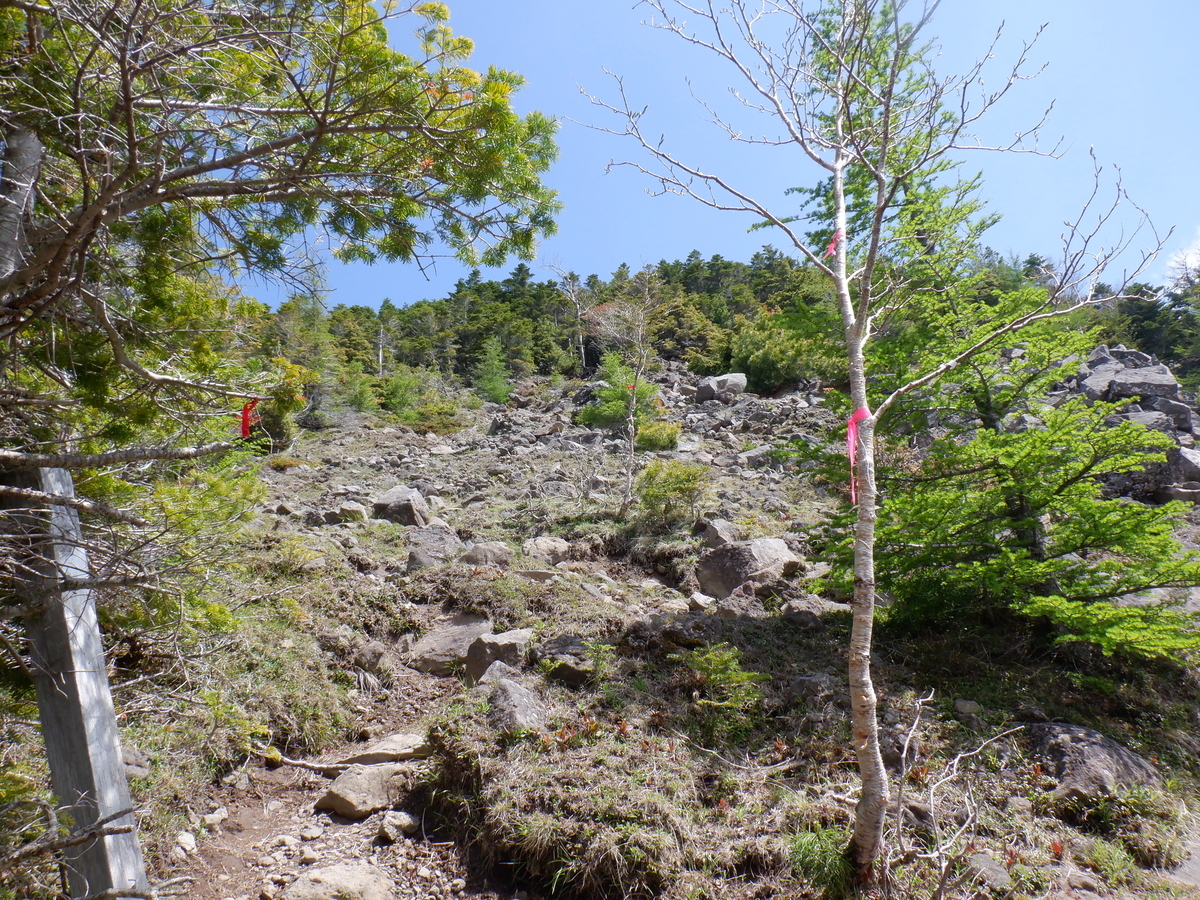 f:id:BSFlanker:20210610132554j:plain