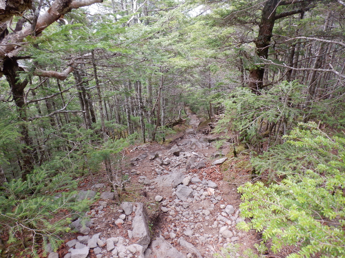 f:id:BSFlanker:20210610134845j:plain