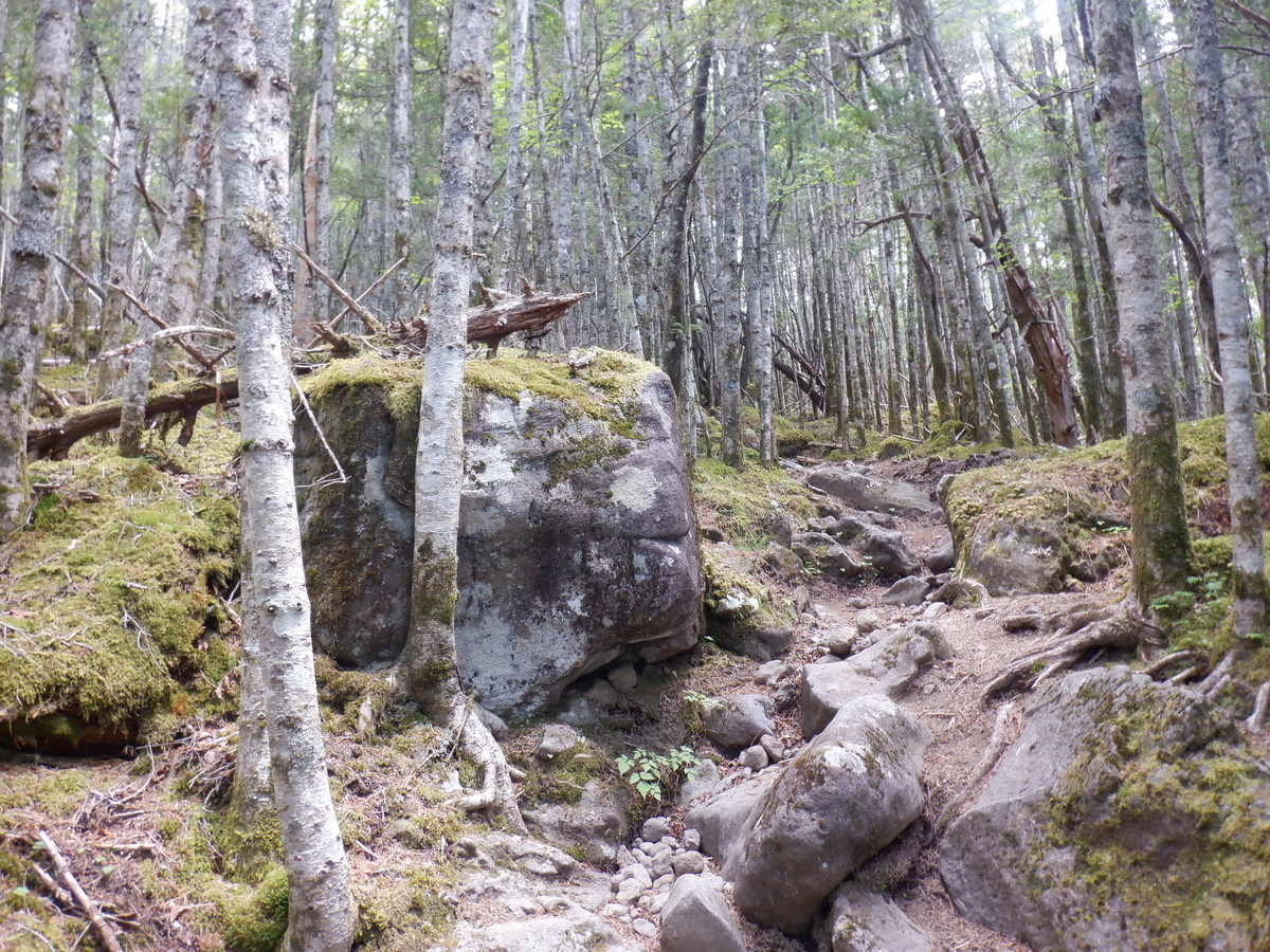 f:id:BSFlanker:20210610135435j:plain