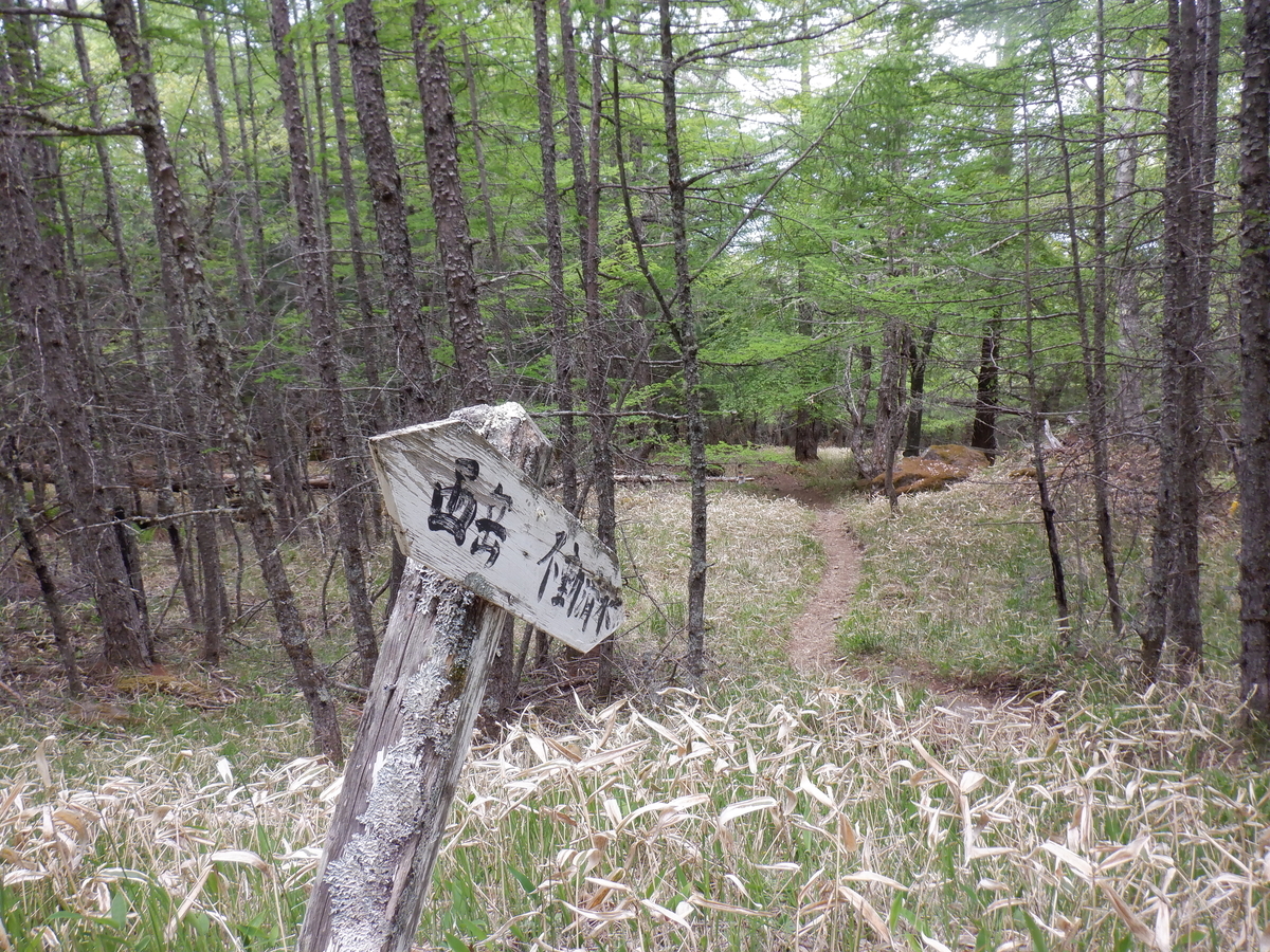 f:id:BSFlanker:20210610135605j:plain