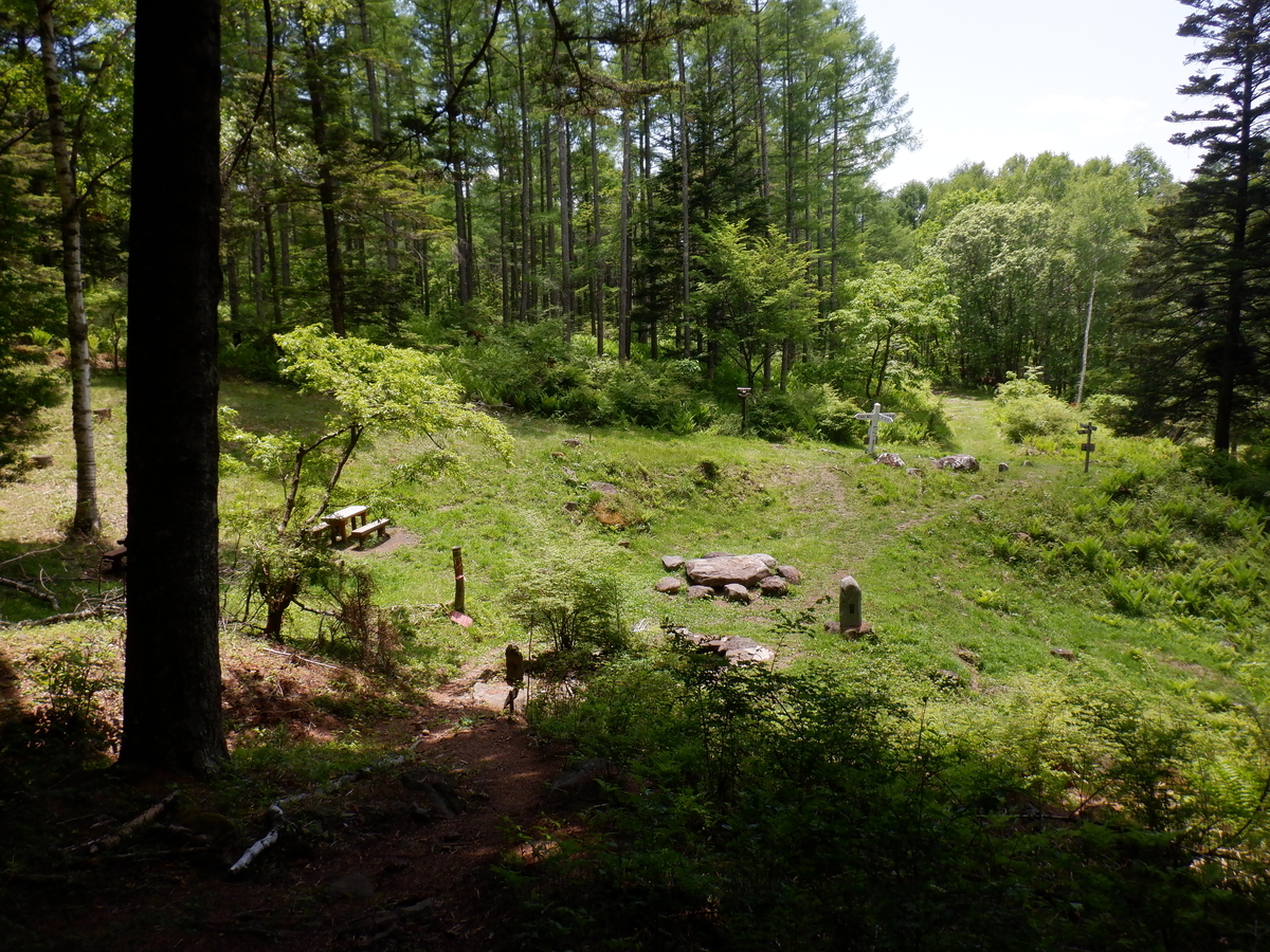 f:id:BSFlanker:20210610200752j:plain