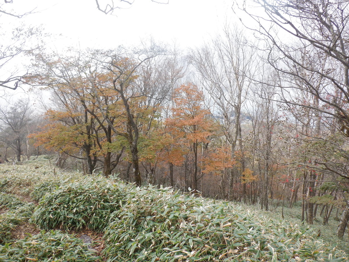 f:id:BSFlanker:20211020112204j:plain