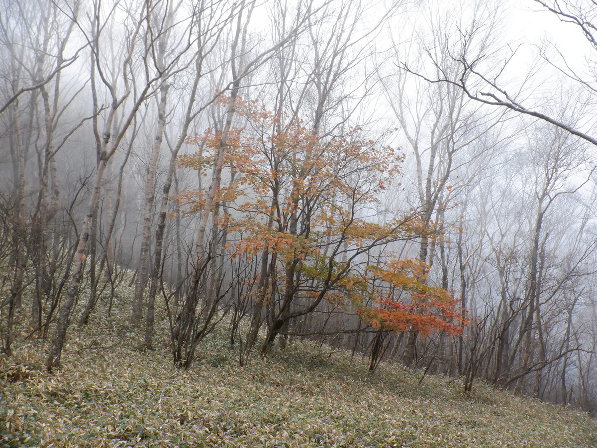 f:id:BSFlanker:20211020112628j:plain