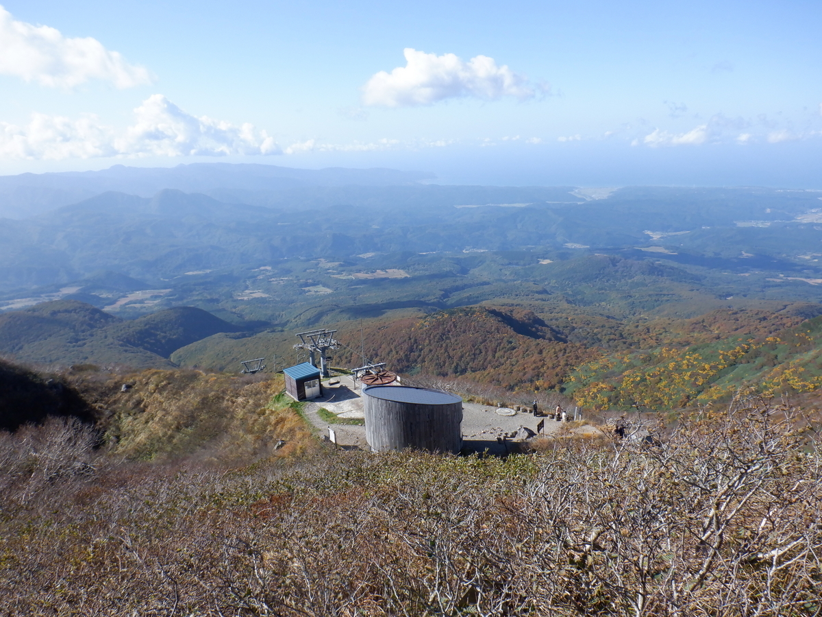 mk　青森県岩木山採取　あけび蔓　150cm～　10kg mk 青森県岩木山採取 あけび蔓 150cm～ 10kg 青森県岩木山採取 あけび